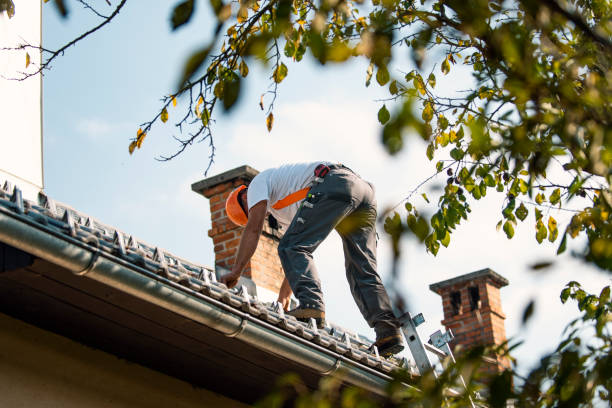 Best Storm Damage Roof Repair  in Farmville, VA