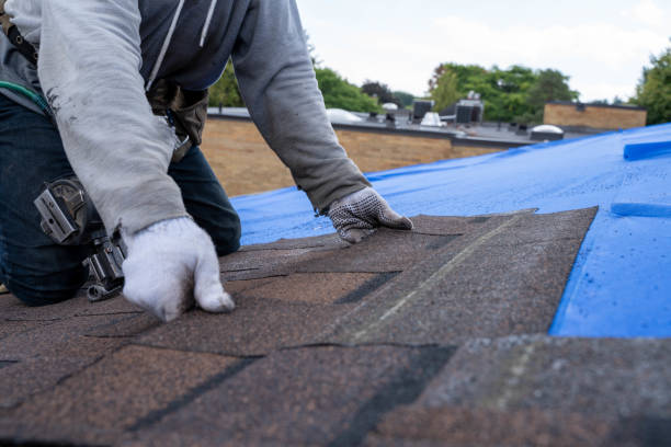 Best Flat Roof Repair Services  in Farmville, VA