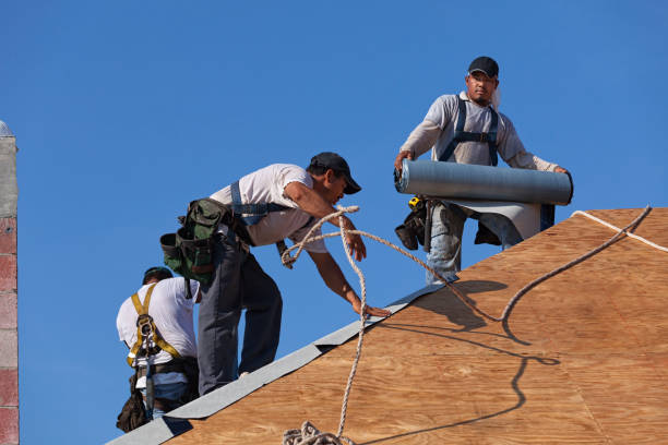 Best Shingle Roofing Installation  in Farmville, VA