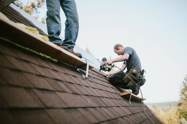 Best Metal Roofing Contractor  in Farmville, VA