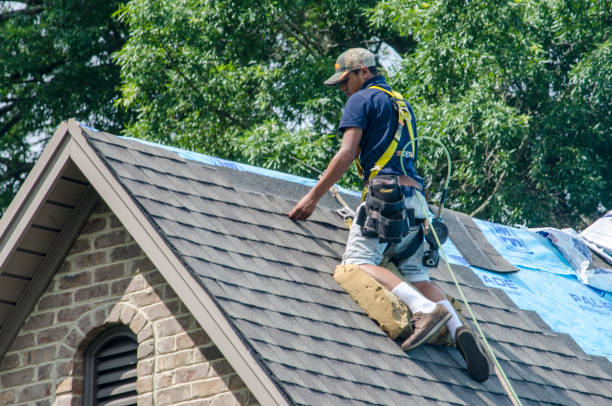 Best Local Roofing Companies  in Farmville, VA